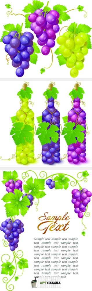 Виноград и бутылки из винограда | Grapes and bottles of grape